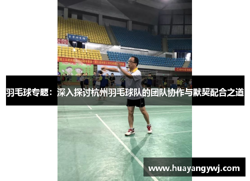 羽毛球专题：深入探讨杭州羽毛球队的团队协作与默契配合之道