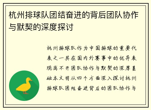杭州排球队团结奋进的背后团队协作与默契的深度探讨